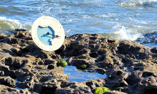 Monterey TideClock - Image 3